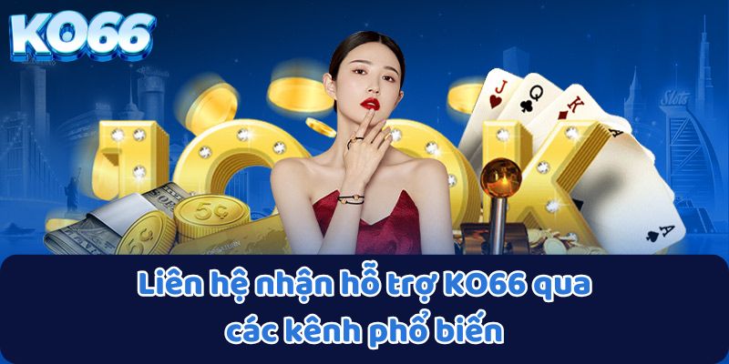 Liên hệ nhận hỗ trợ KO66 qua các kênh phổ biến